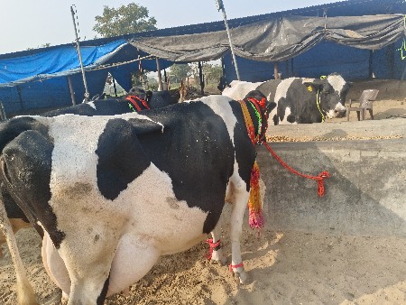 બીજું વેધર