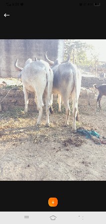 थंबनेल 3