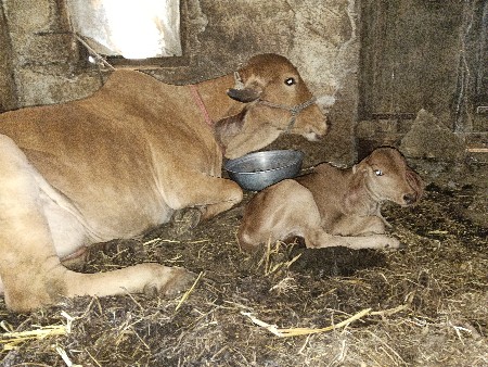 थंबनेल 2