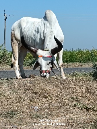 थंबनेल 3