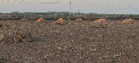 નિરણ સુકી