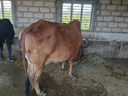 थंबनेल 3