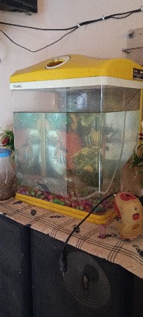 થંબનેલ 3