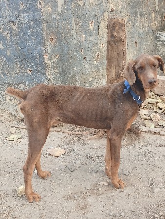 थंबनेल 2