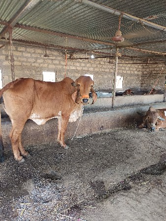 थंबनेल 2