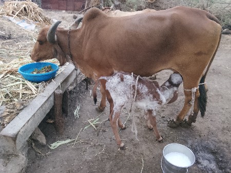 थंबनेल 3