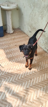 vadi athva khula jagiya vada ne