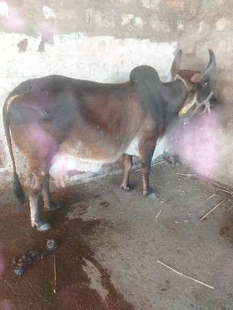 थंबनेल 2