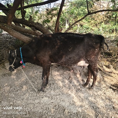 थंबनेल 2