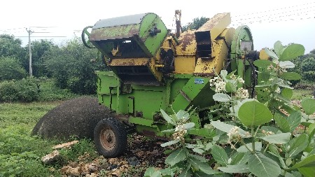 થંબનેલ 3