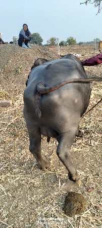 थंबनेल 3