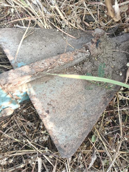 थंबनेल 3