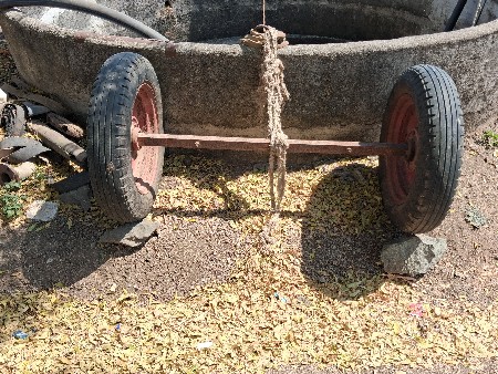 થંબનેલ 2