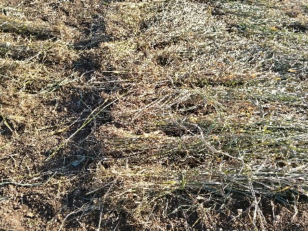 નીરણ વેચવાની છે