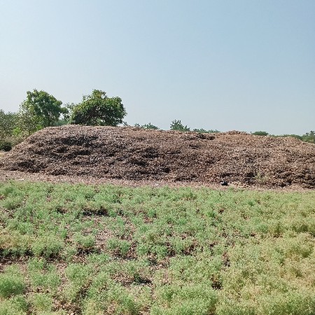 માંડવી નો ભુકો વેચવાનો છે