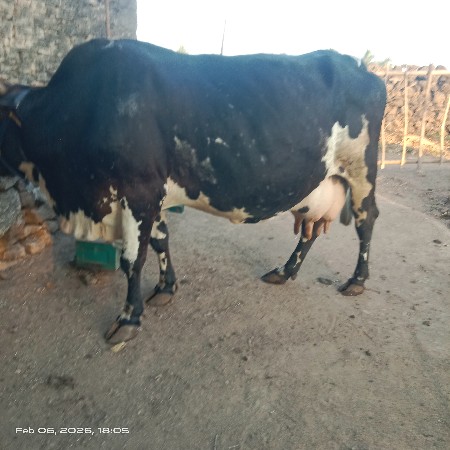 थंबनेल 2