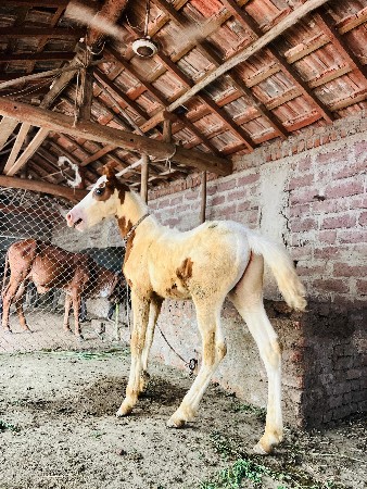 थंबनेल 3