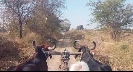 બરધ વેચવાના છે