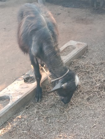 थंबनेल 2