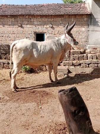 थंबनेल 3