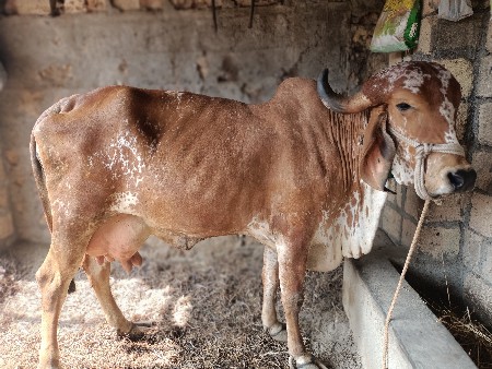 थंबनेल 2