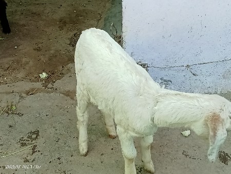 थंबनेल 2