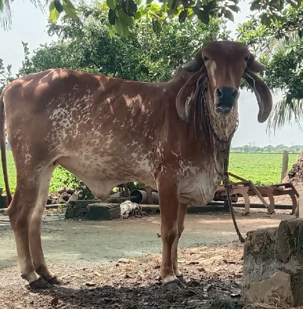 थंबनेल 2