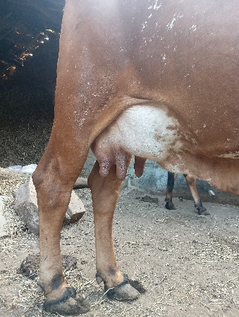 थंबनेल 2