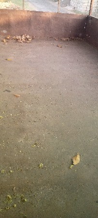 थंबनेल 3