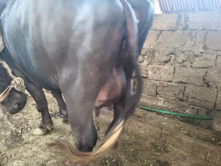 थंबनेल 3