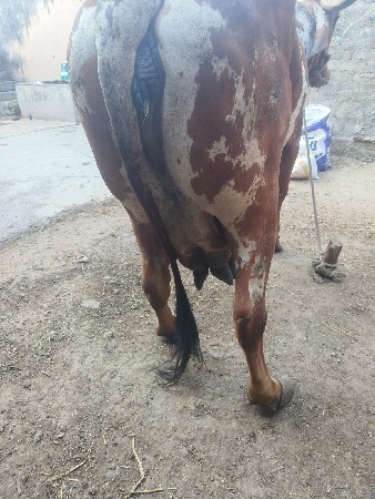 थंबनेल 2