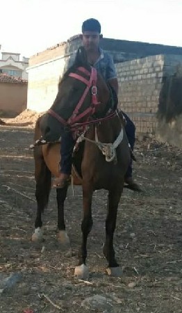 थंबनेल 3