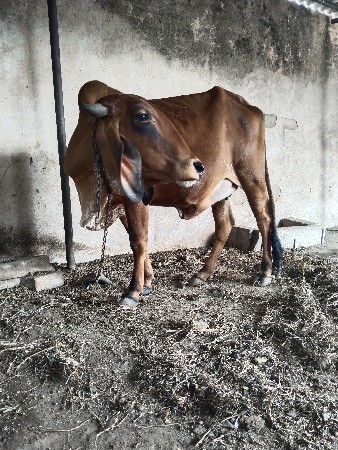 थंबनेल 2