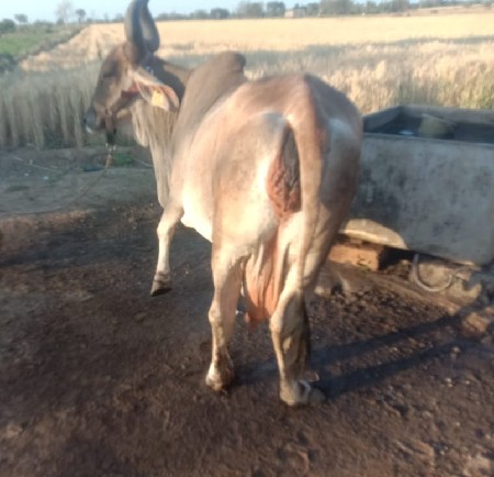 थंबनेल 3