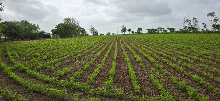 જમીન લેવા કે વેચવા