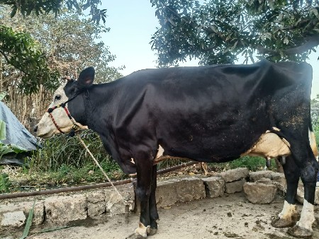 થંબનેલ 6