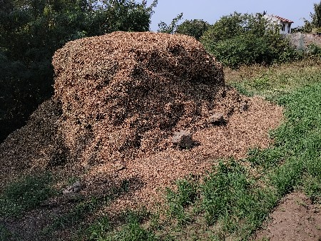 ભૂકો (પાલો) વેચવાનો છે