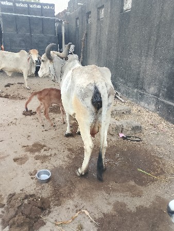 थंबनेल 3