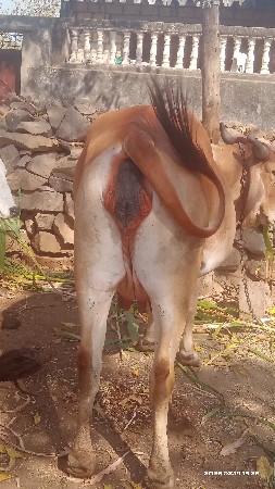 थंबनेल 2