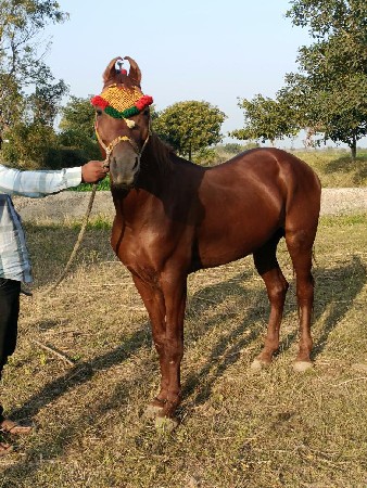 थंबनेल 3