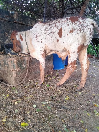 थंबनेल 2