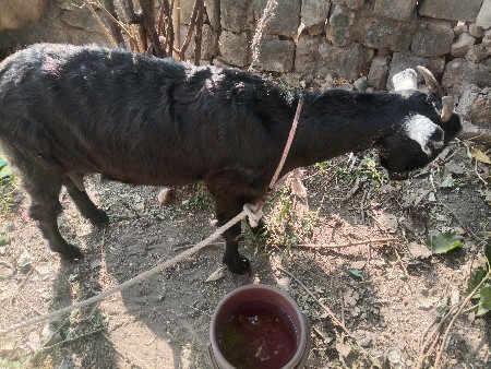 થંબનેલ 2