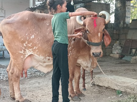 थंबनेल 2