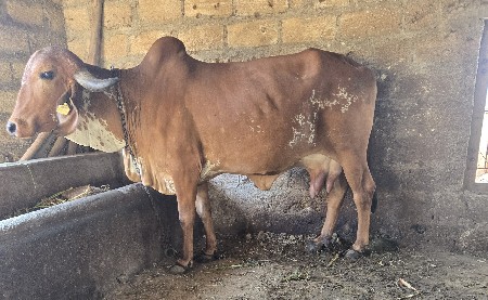 थंबनेल 2