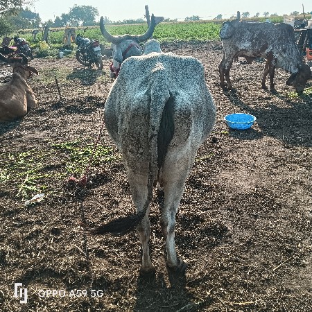 थंबनेल 2