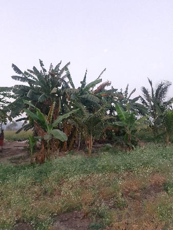 જમીન વેચવાની છે