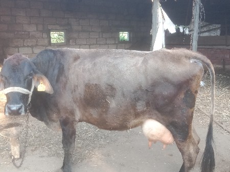 थंबनेल 2