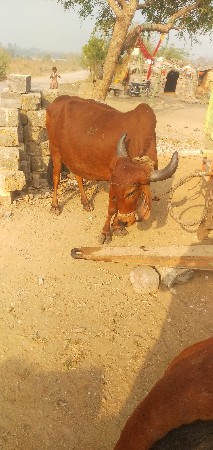 थंबनेल 3