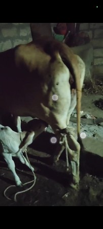 थंबनेल 3