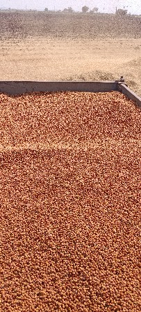 GEETA THRESER 135000